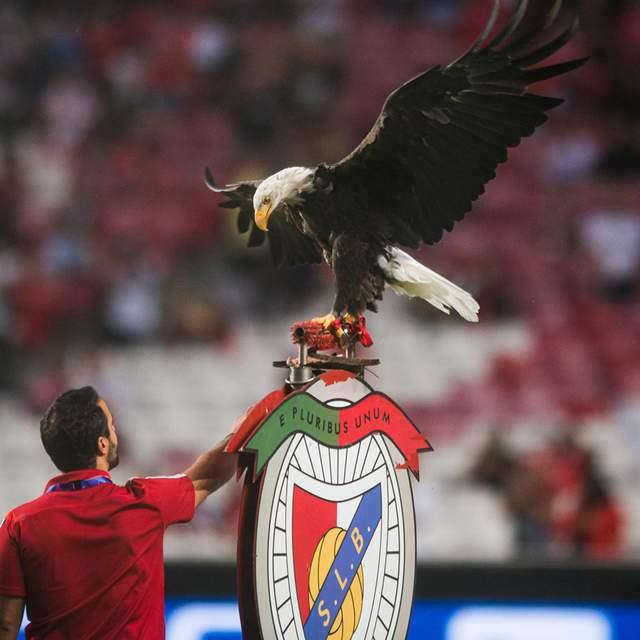 28circle-关于马卡比特拉维夫赛后造点机会，志在葡超名次提升，管理层满意，团队化学反应显著的信息